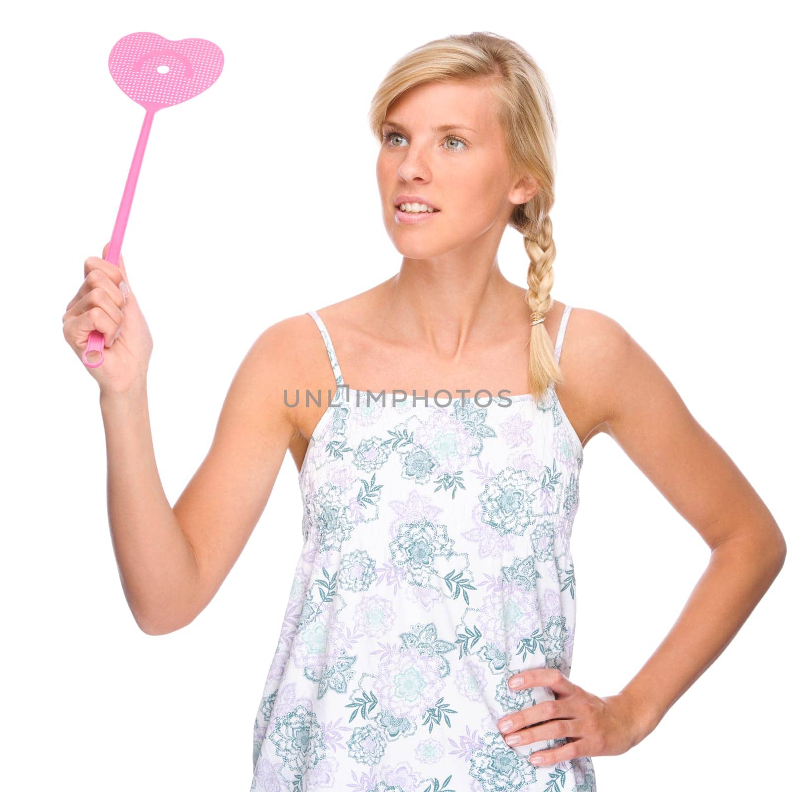 Flyswatter