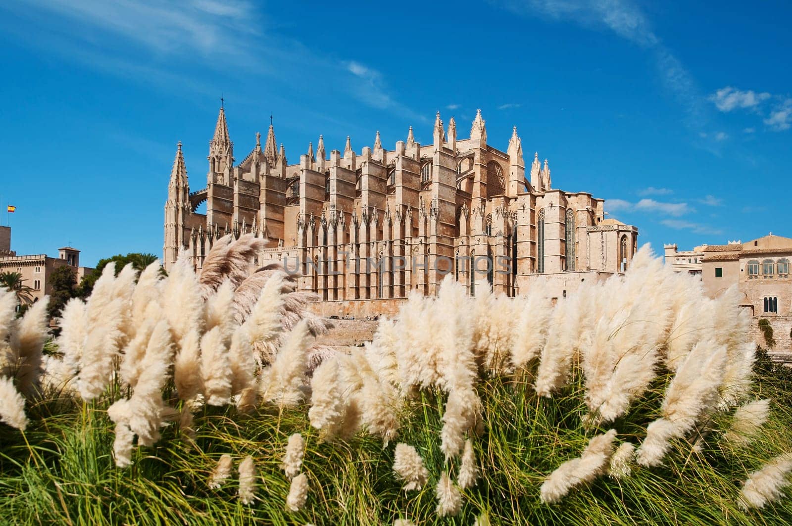 Cathedral of Palma de Mallorca,Spain