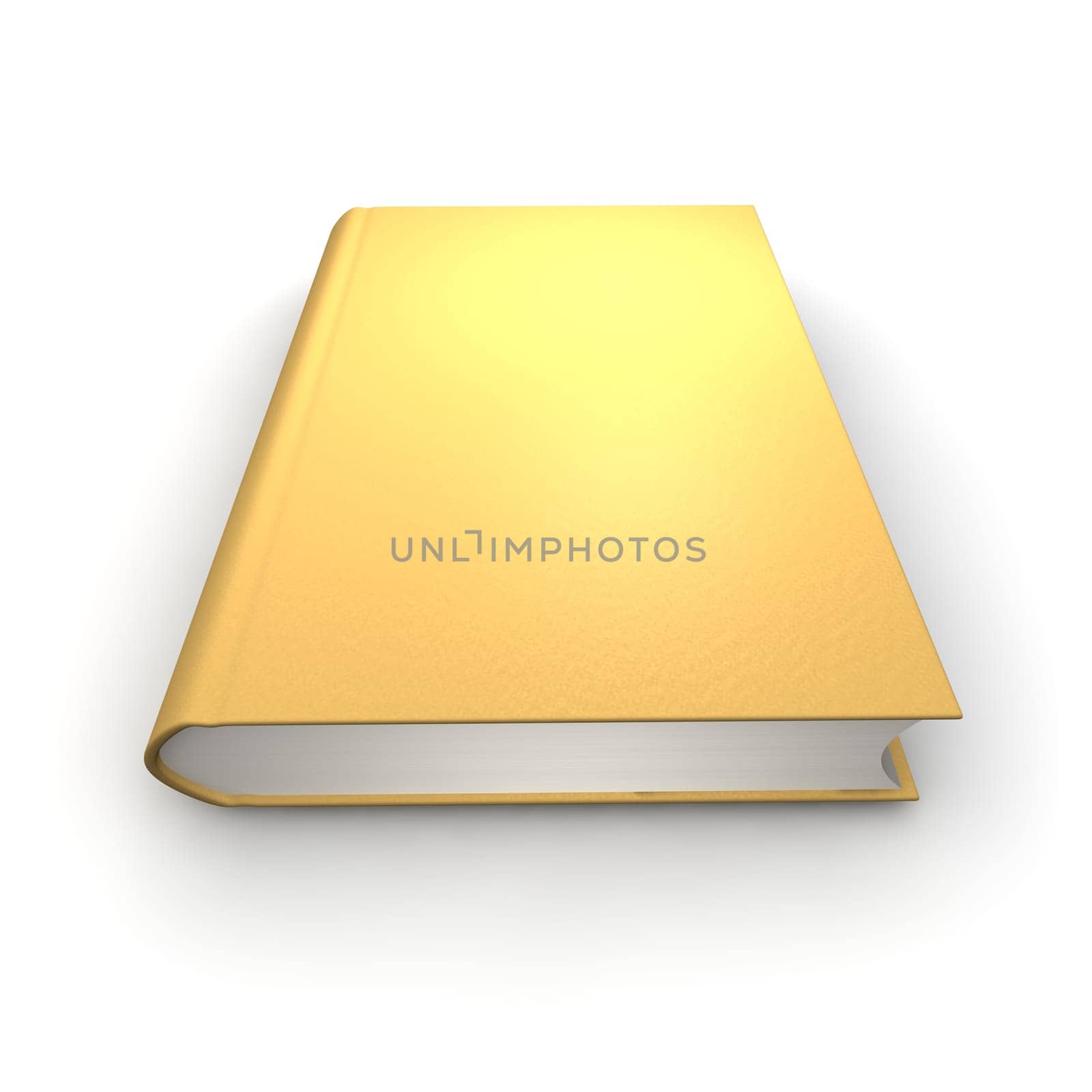 Orange or golden isolated book