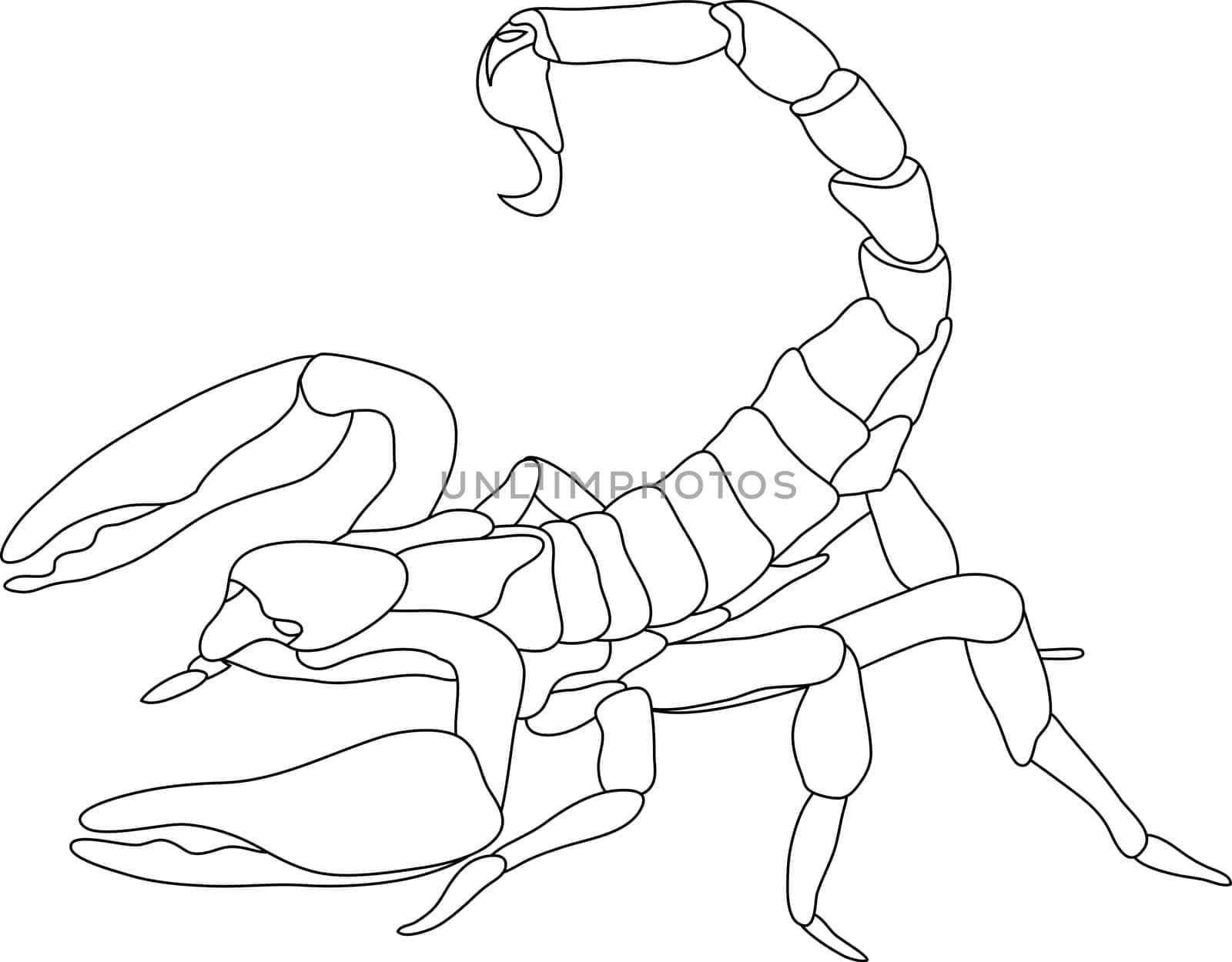 scorpion