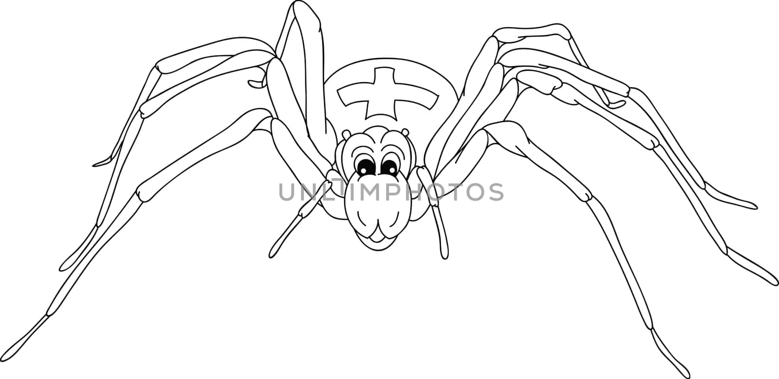 spider