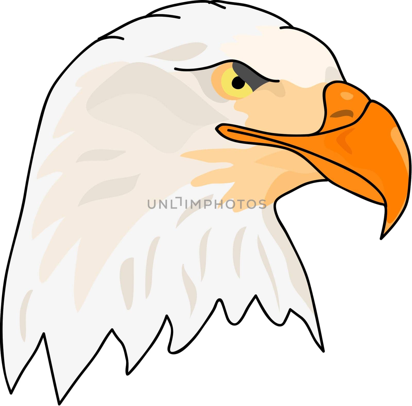 eagle