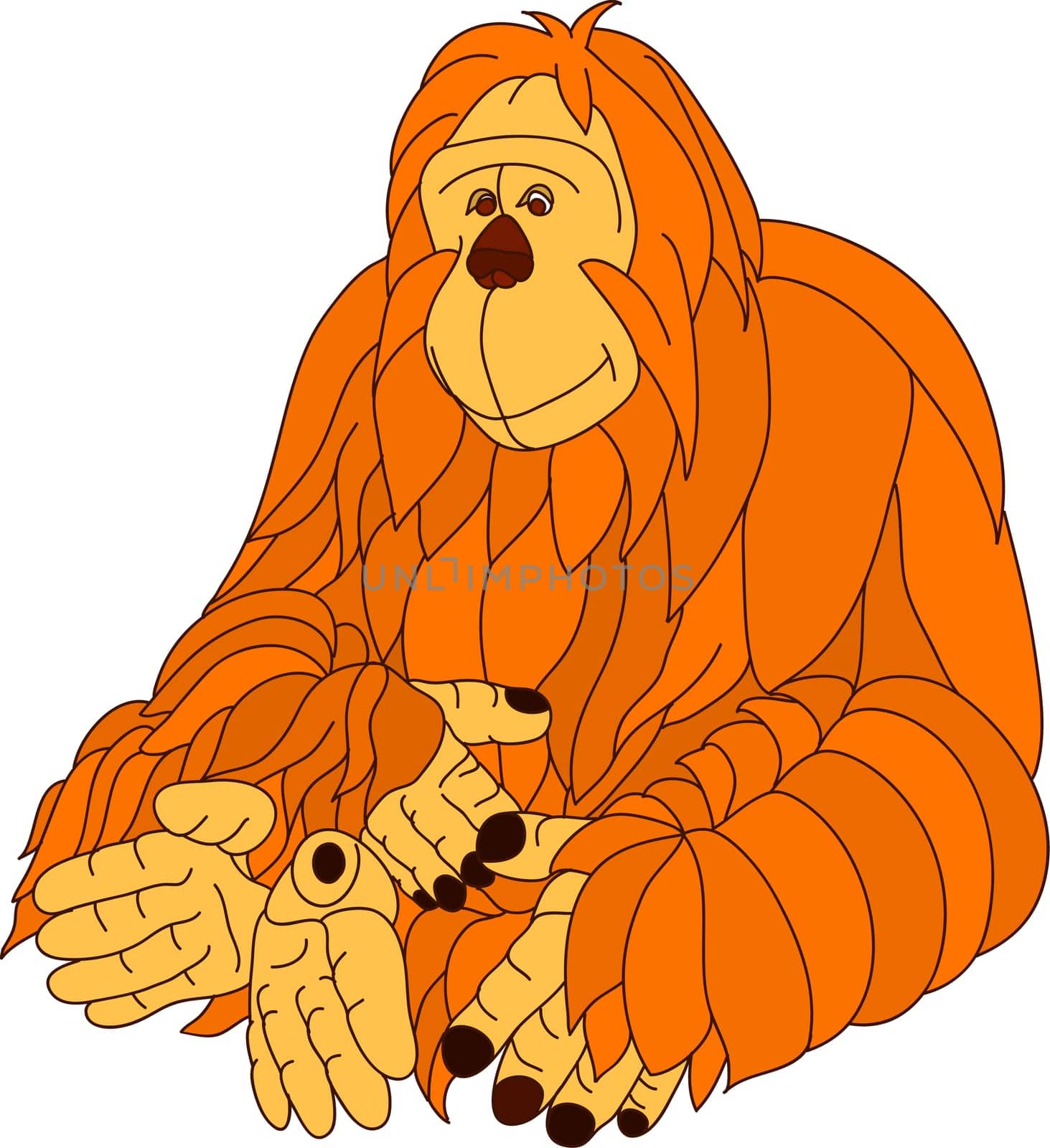 orangutan