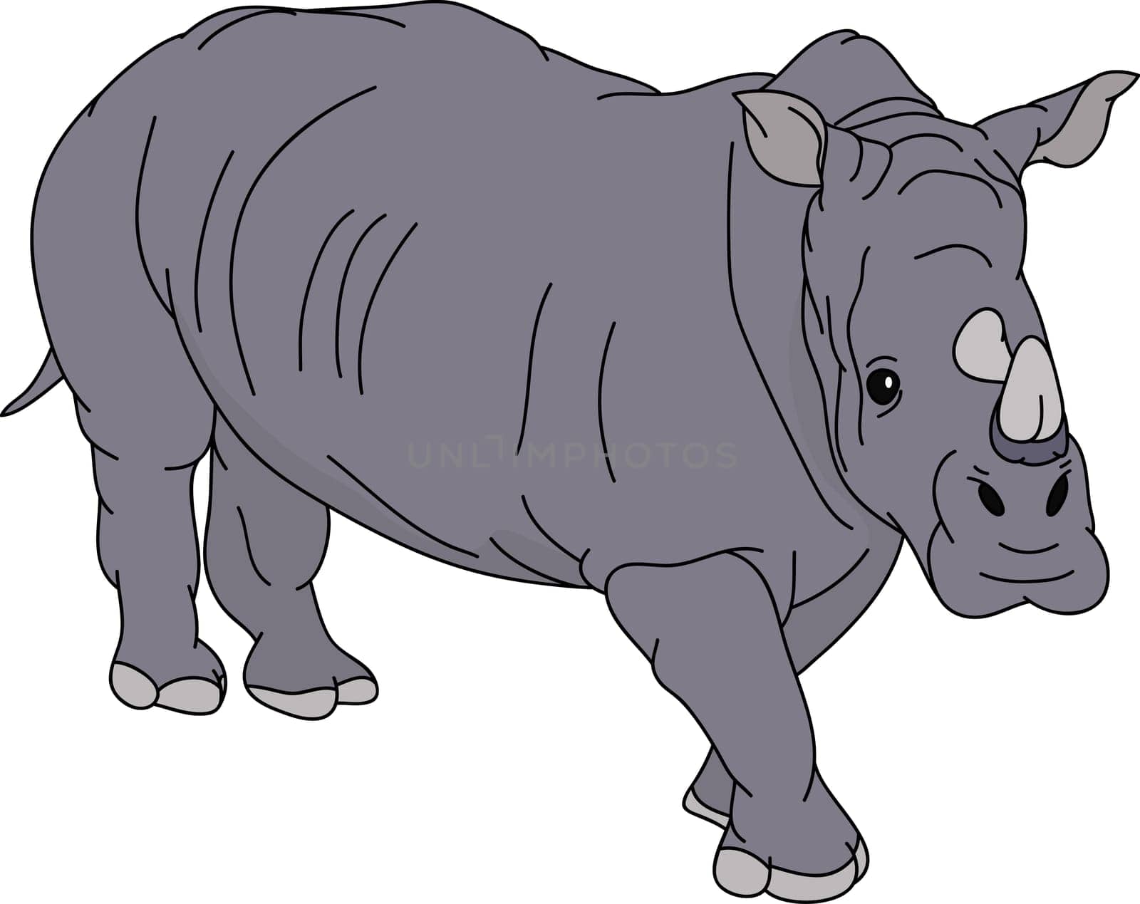 rhino