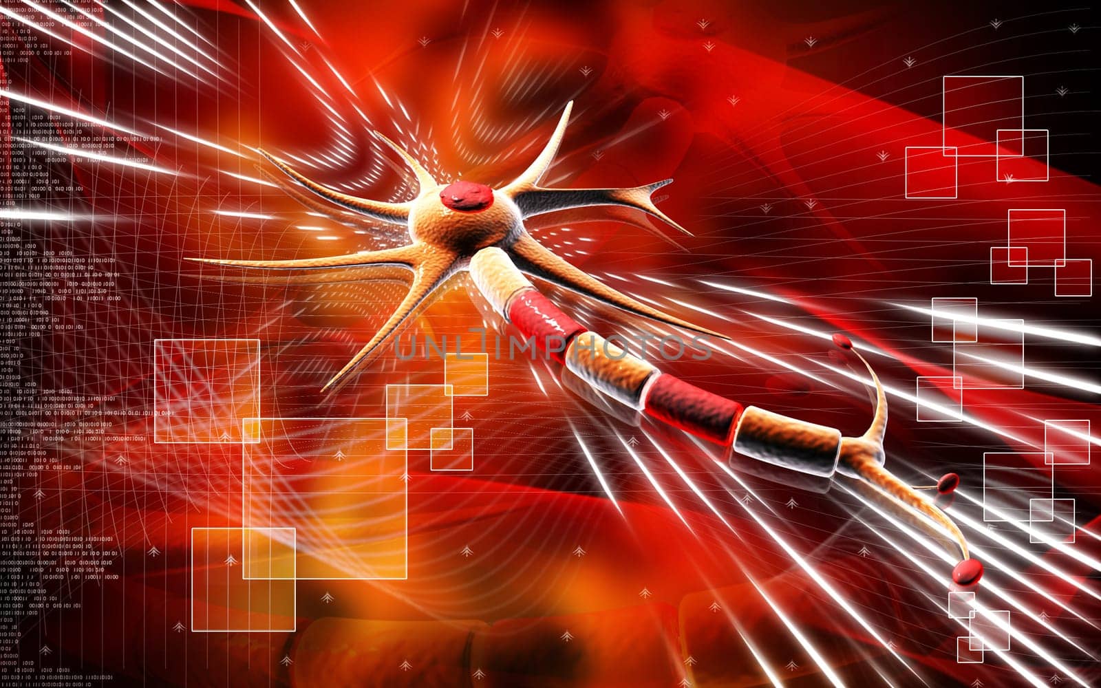 Neuron