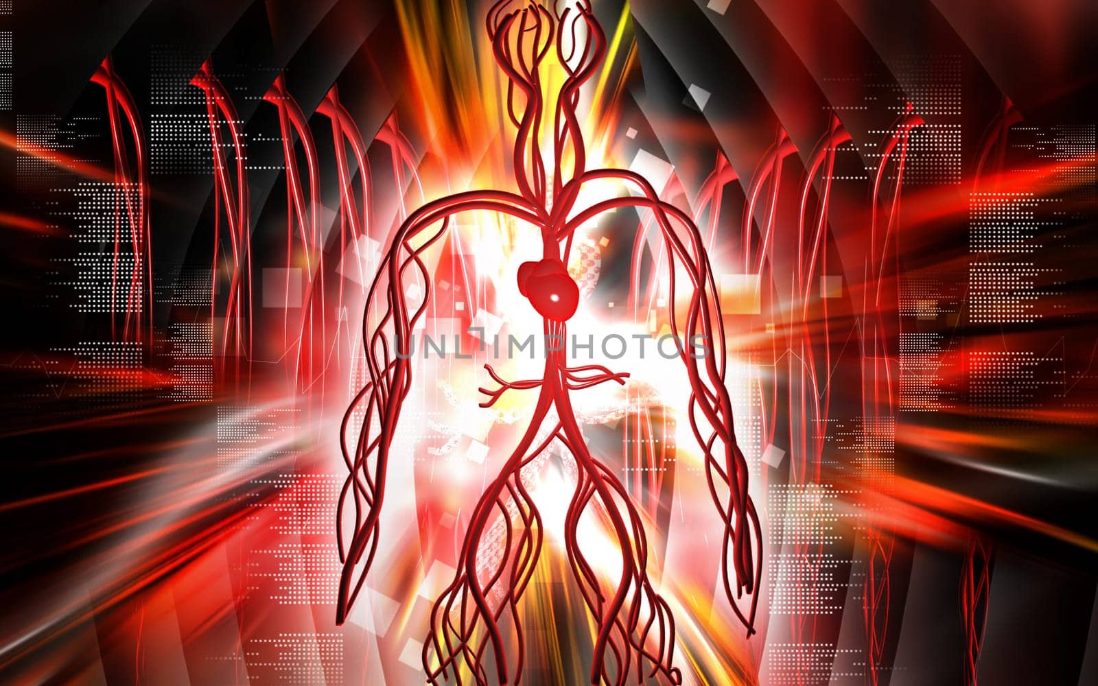 Vascular system