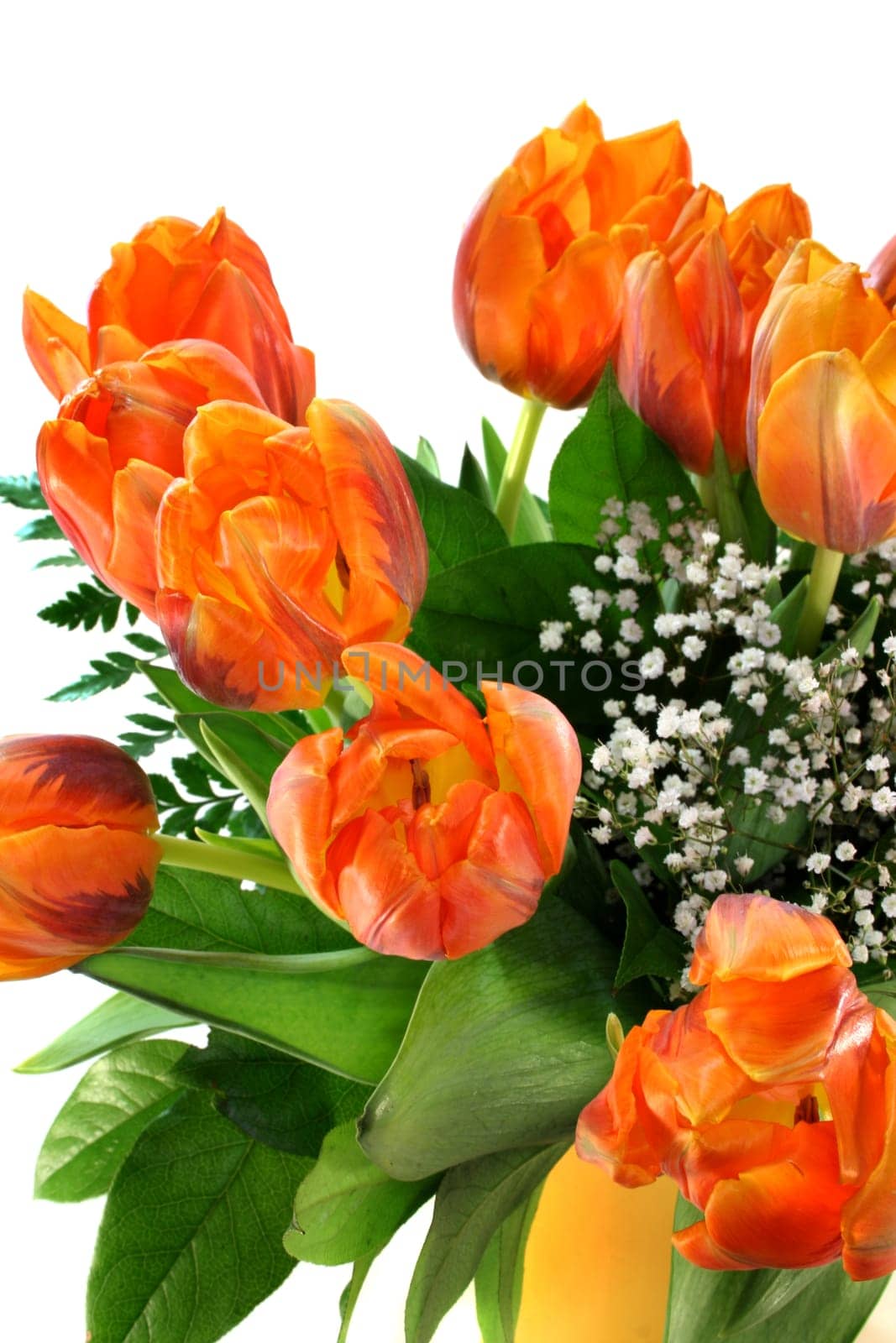 Tulip bouquet