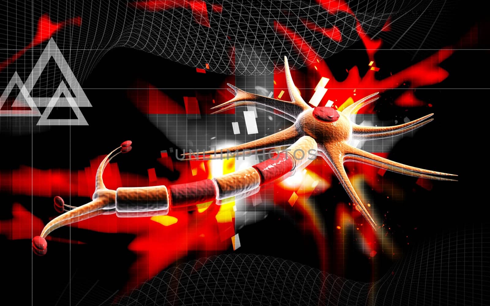 Neuron