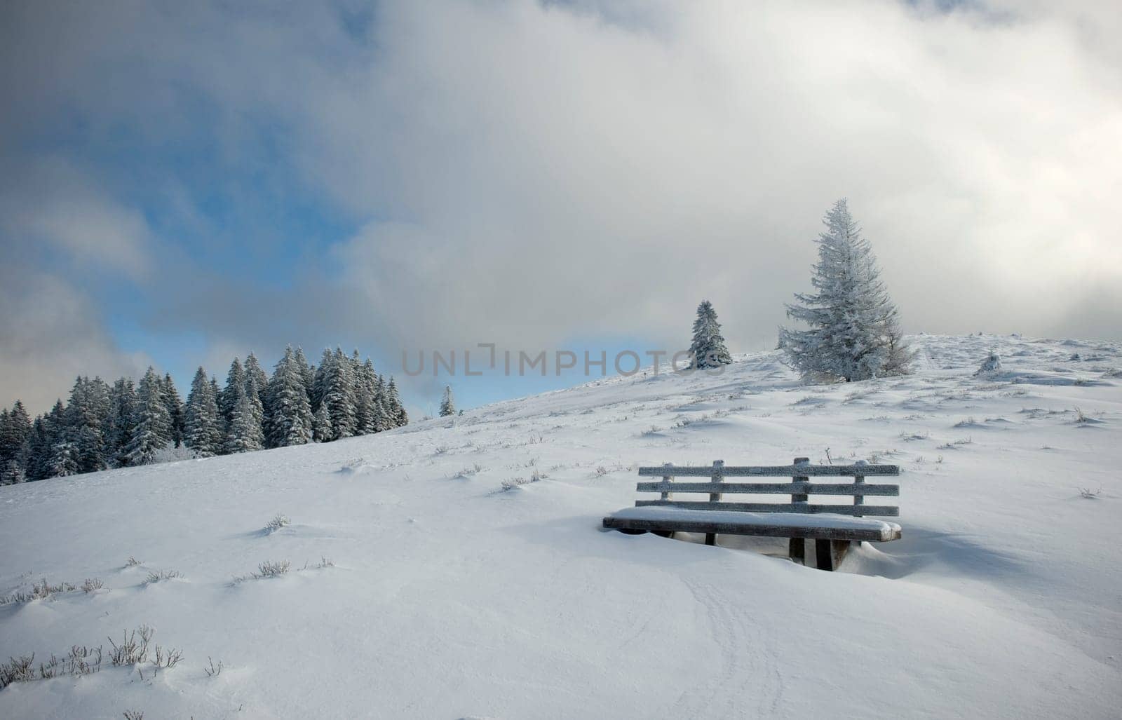 Winter