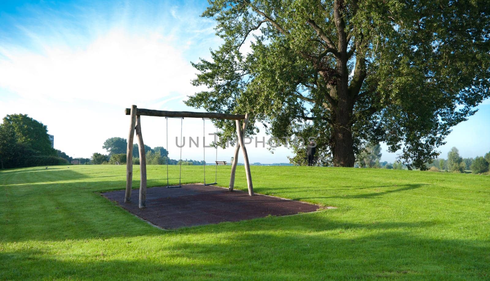 swing