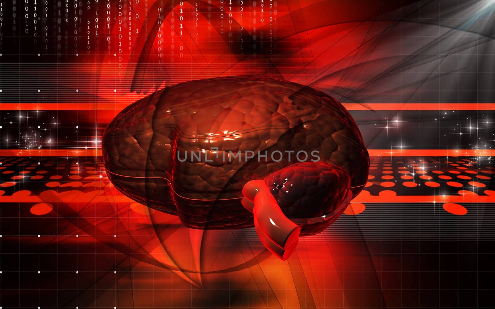 Brain