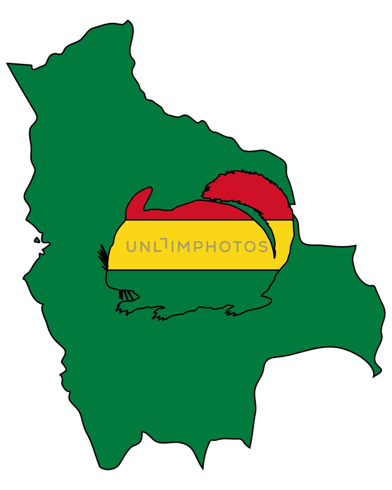 Chinchilla Bolivia