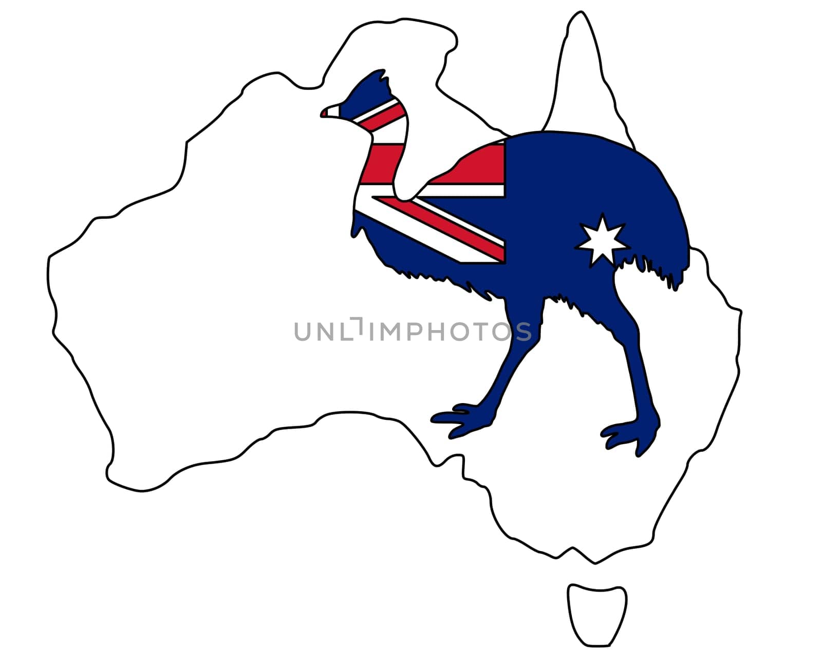Cassowary,Australia