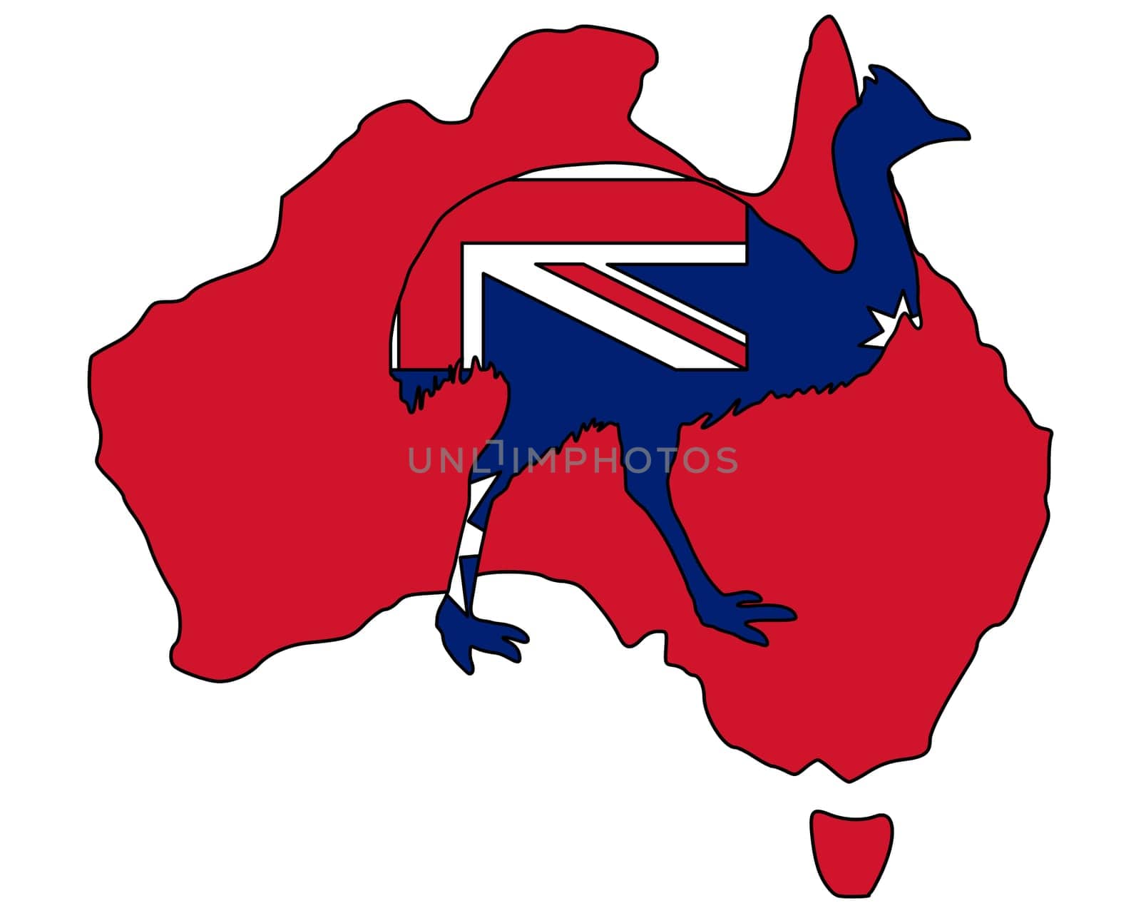 Cassowary,Australia