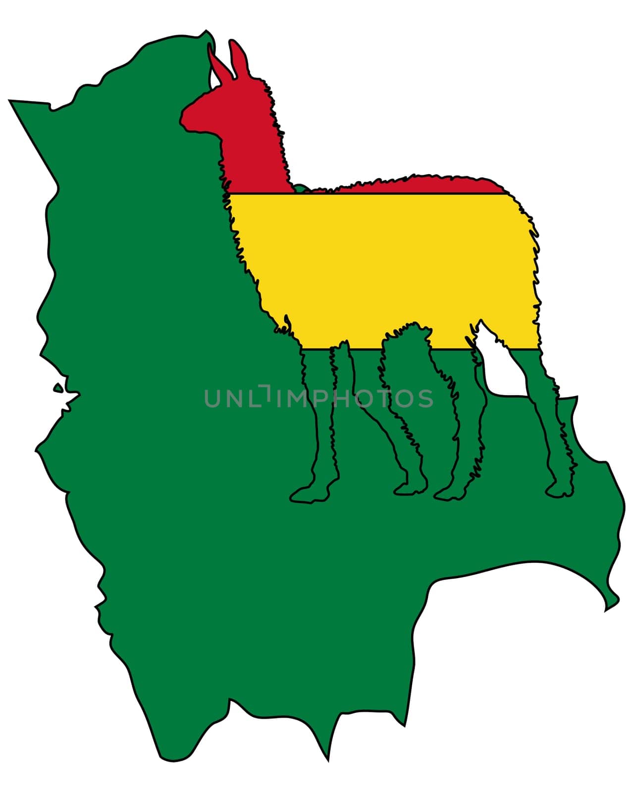 Lama Bolivia