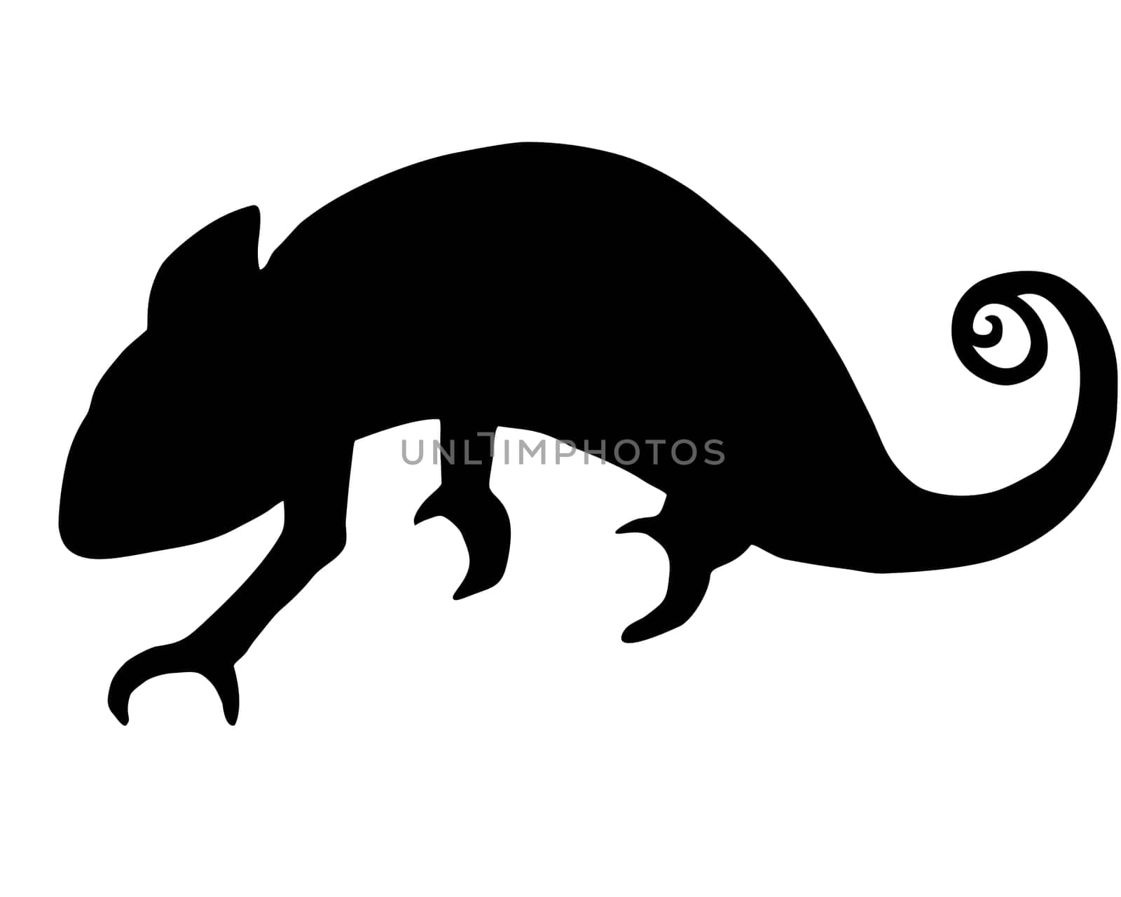 Chameleon Silhouette