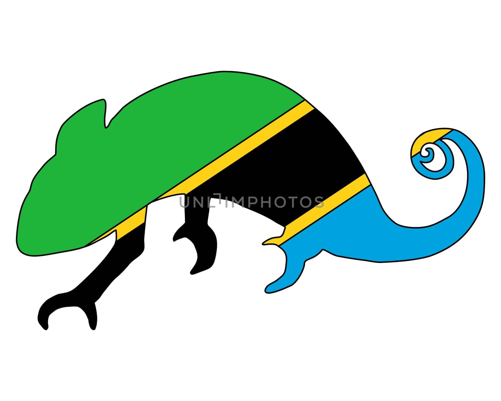 Tanzania Chameleon