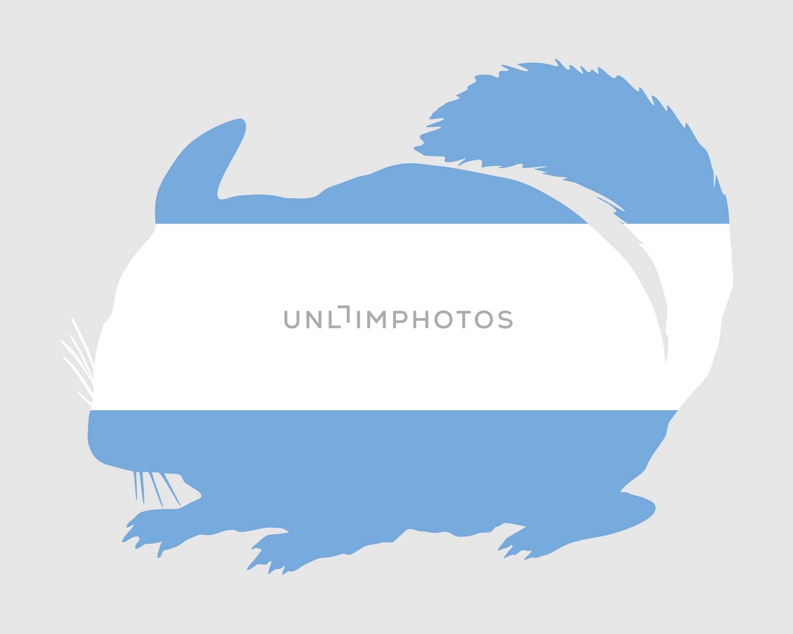 Chinchilla Argentina