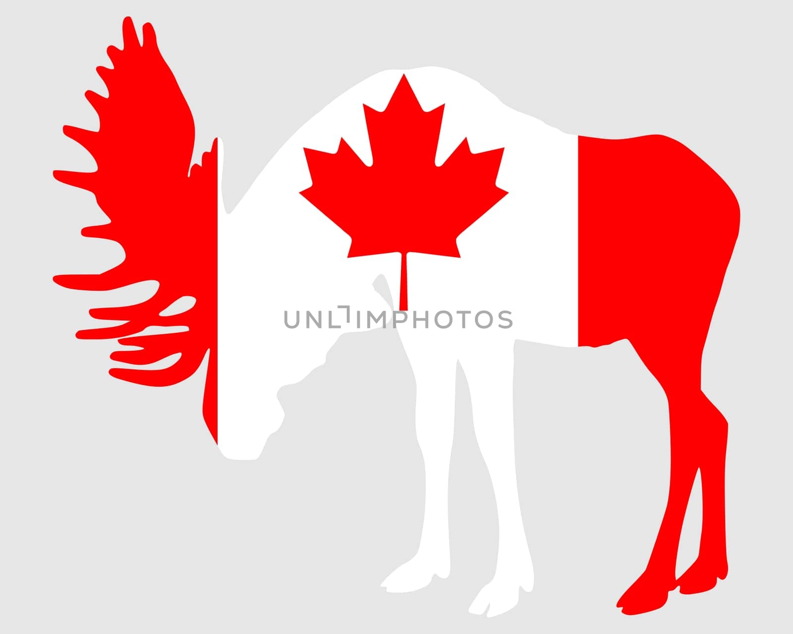 Moose in Canada flag