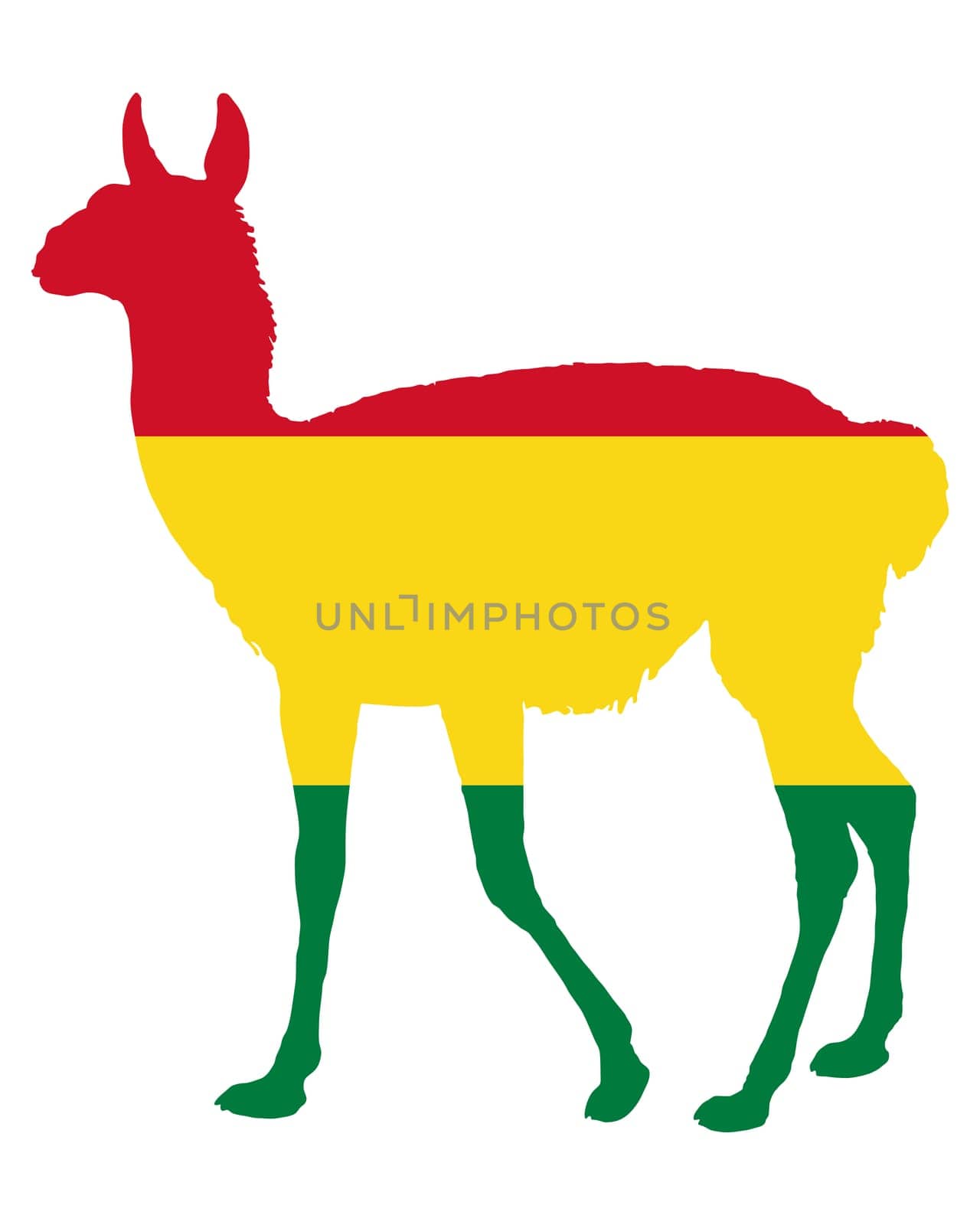 Guanaco Bolivia
