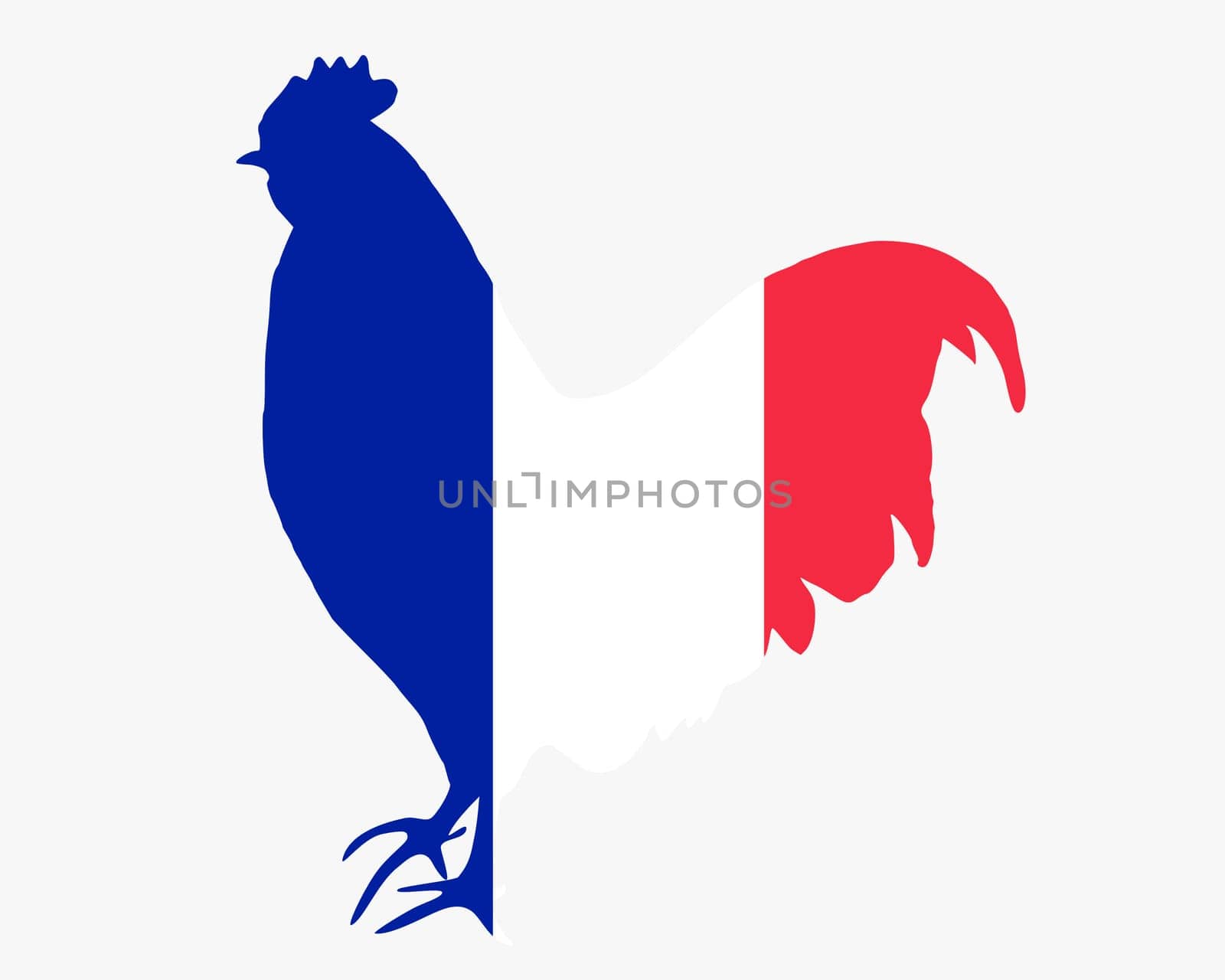 French Rooster
