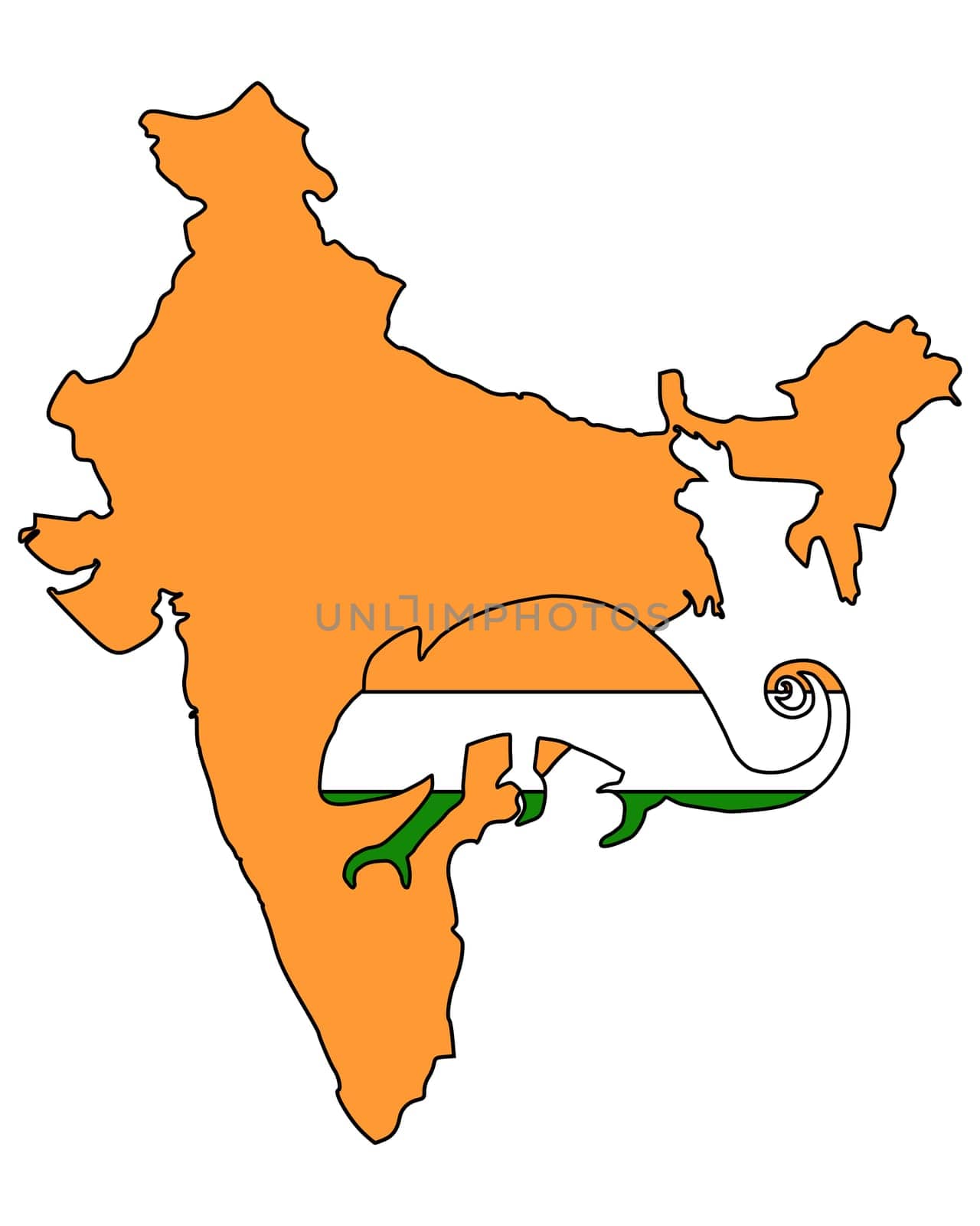 India Chameleon