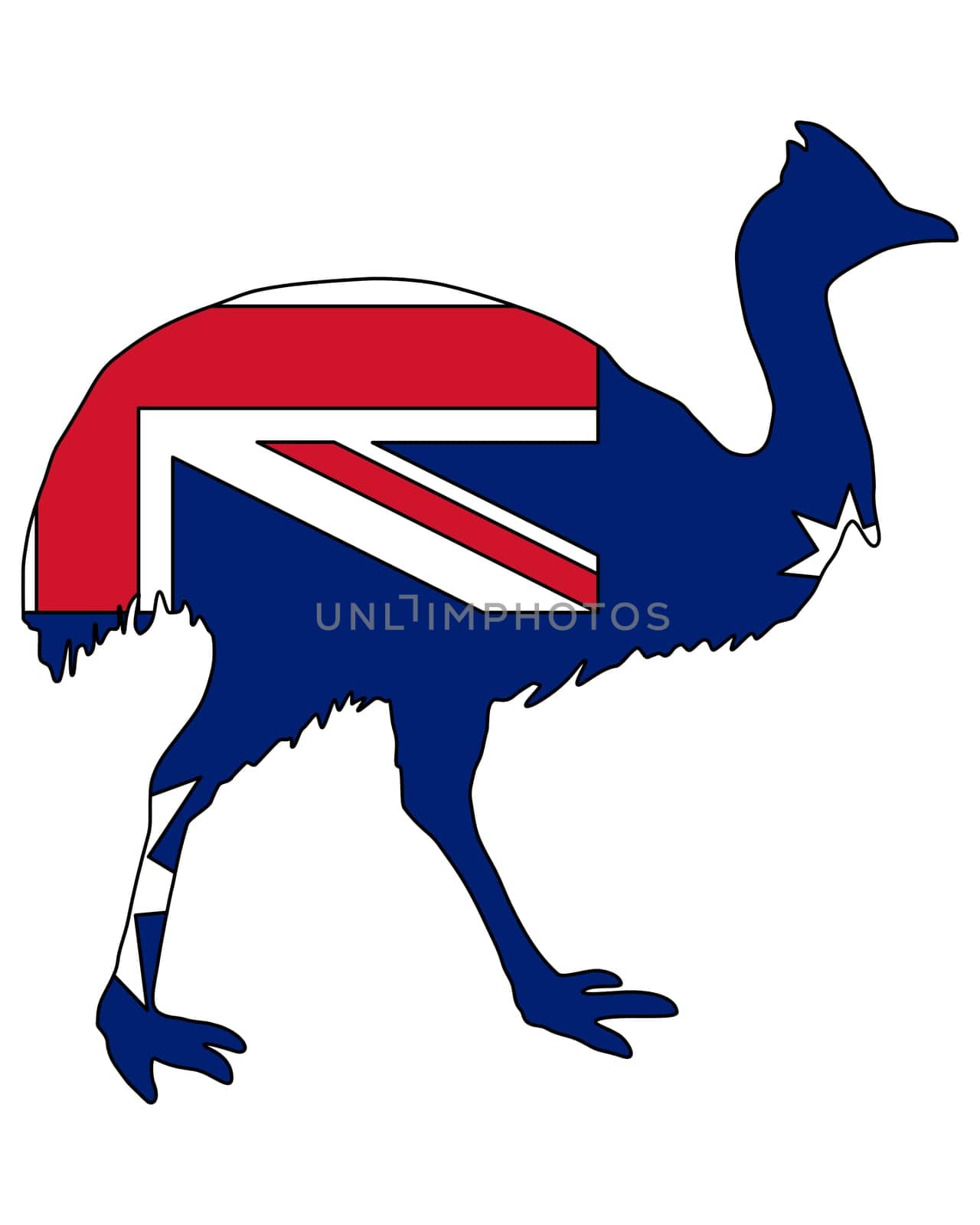 Cassowary,Australia