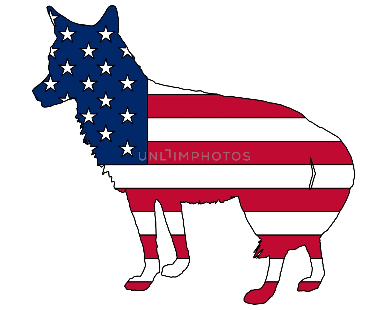 Coyote USA