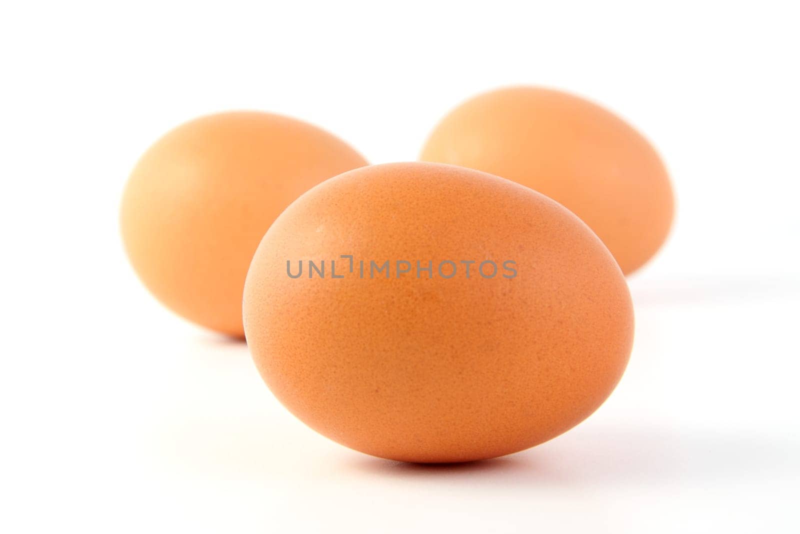 Egg,Eggs
