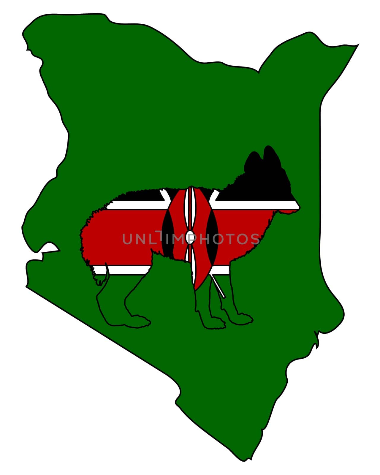 Jackal from Kenya