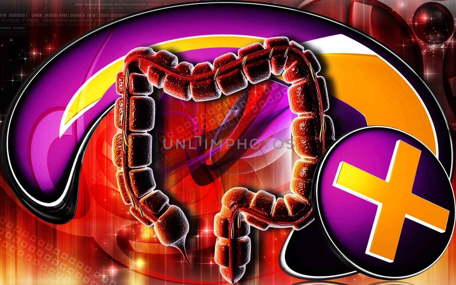 Large intestine