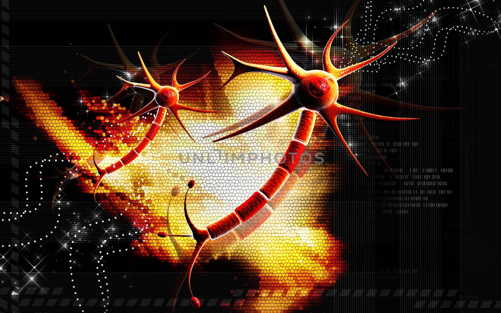 Neuron