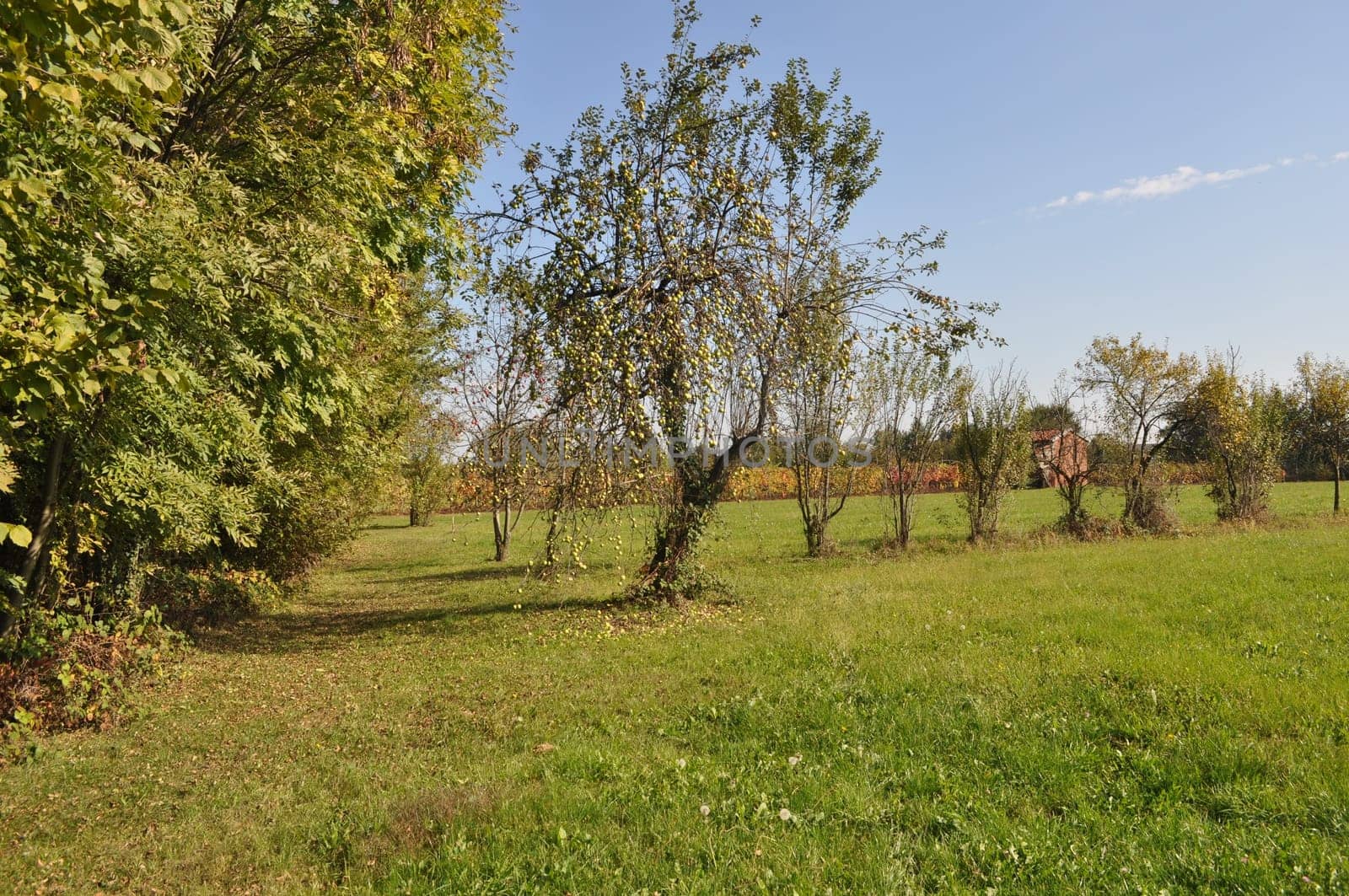 Landscape