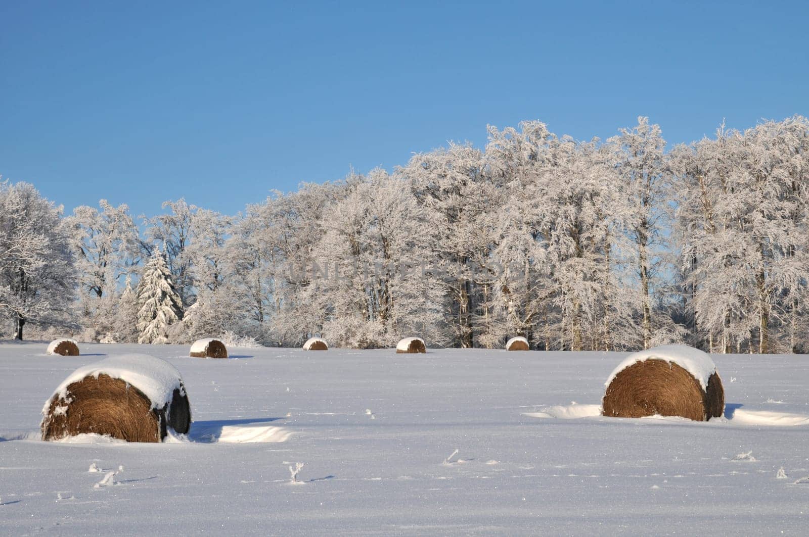 In winter