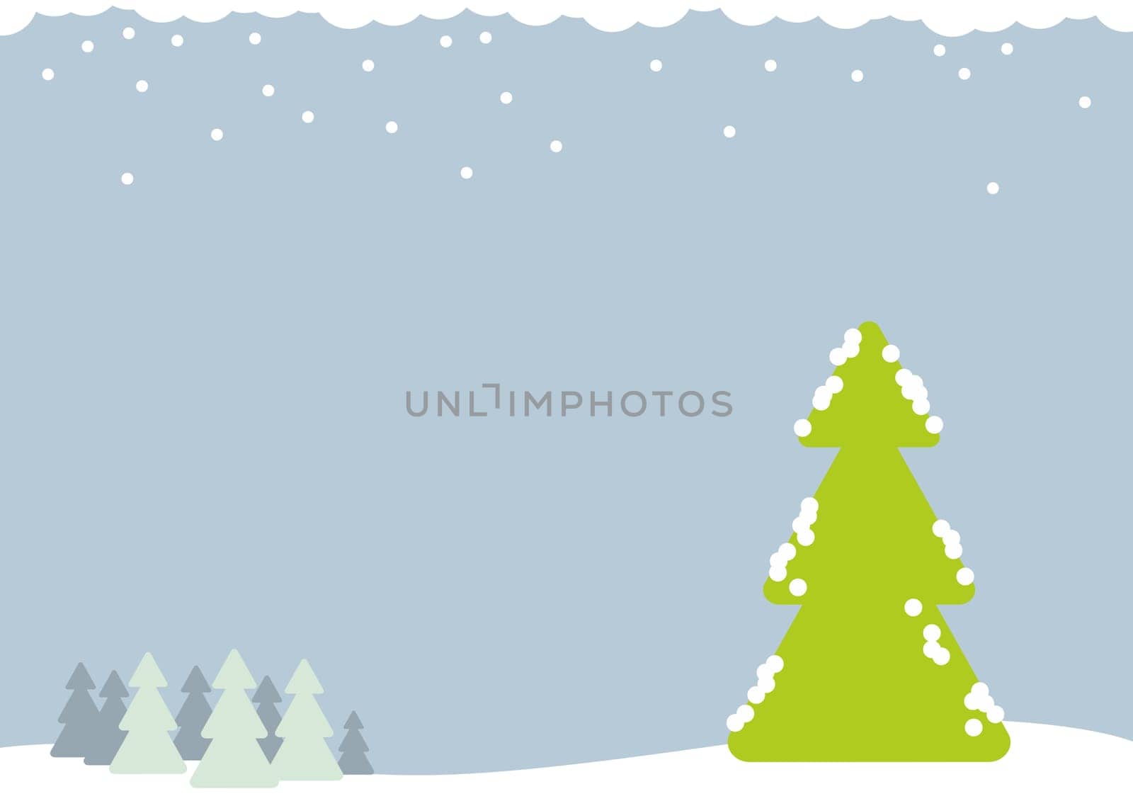 Christmas trees in a winter night