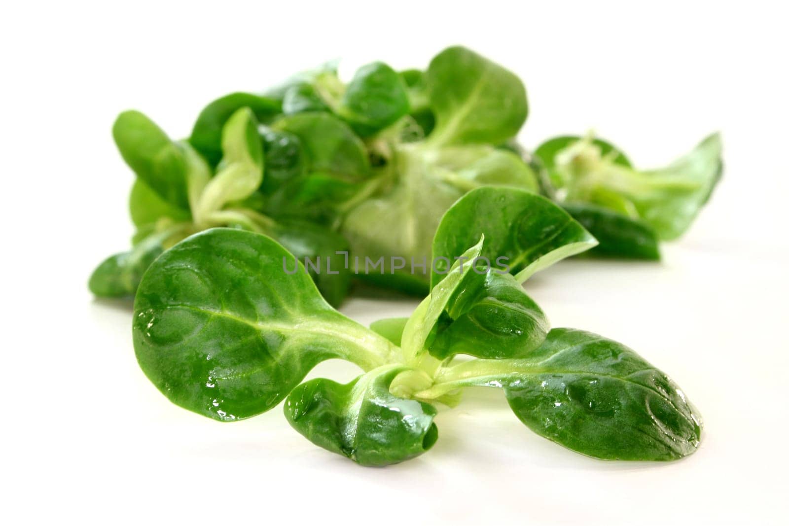 Corn salad