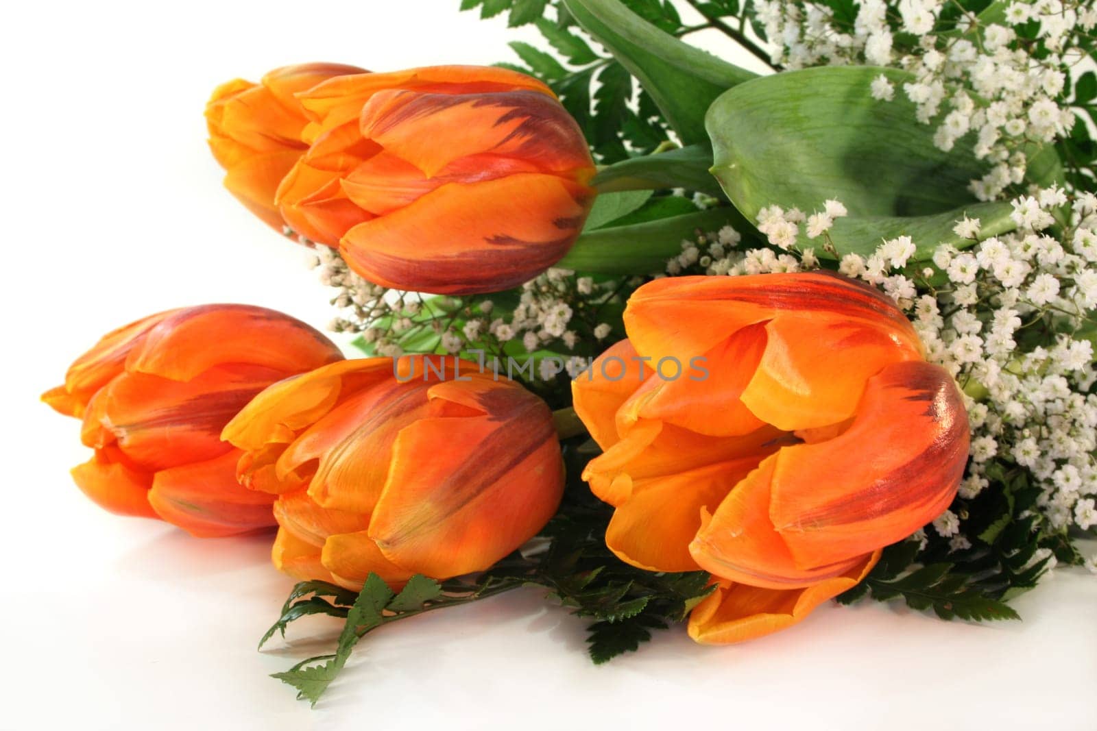 Tulip bouquet