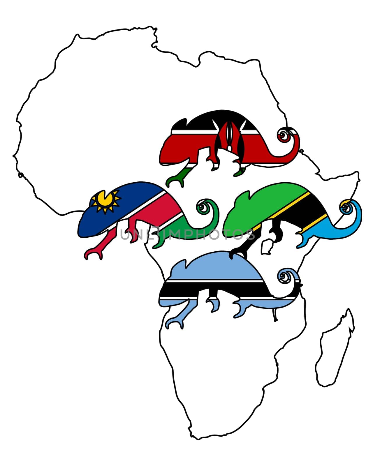 African Chameleons