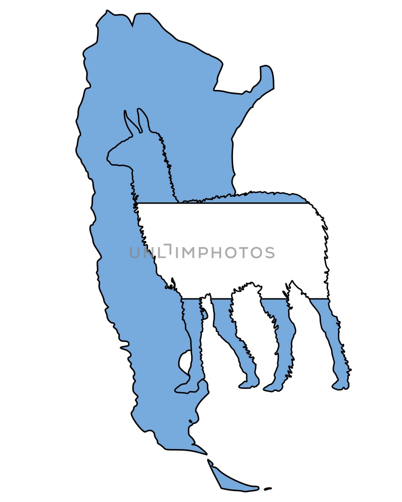 Lama Argentina