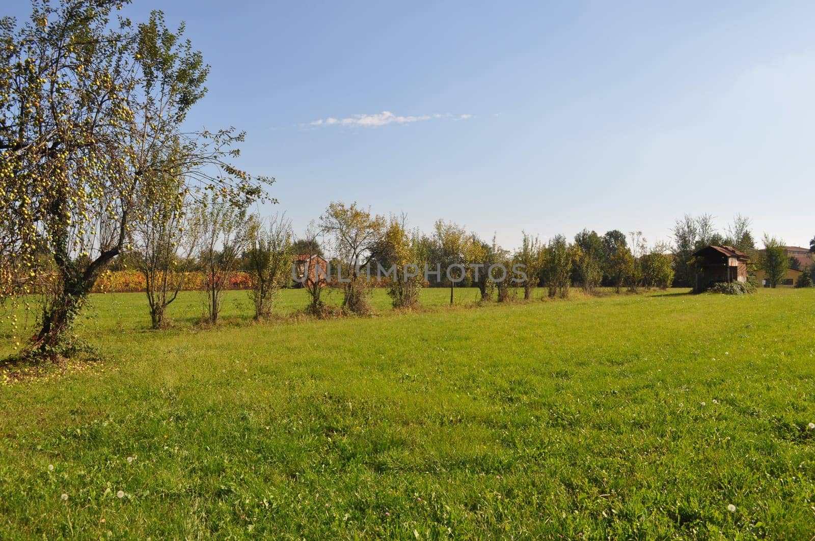 Landscape