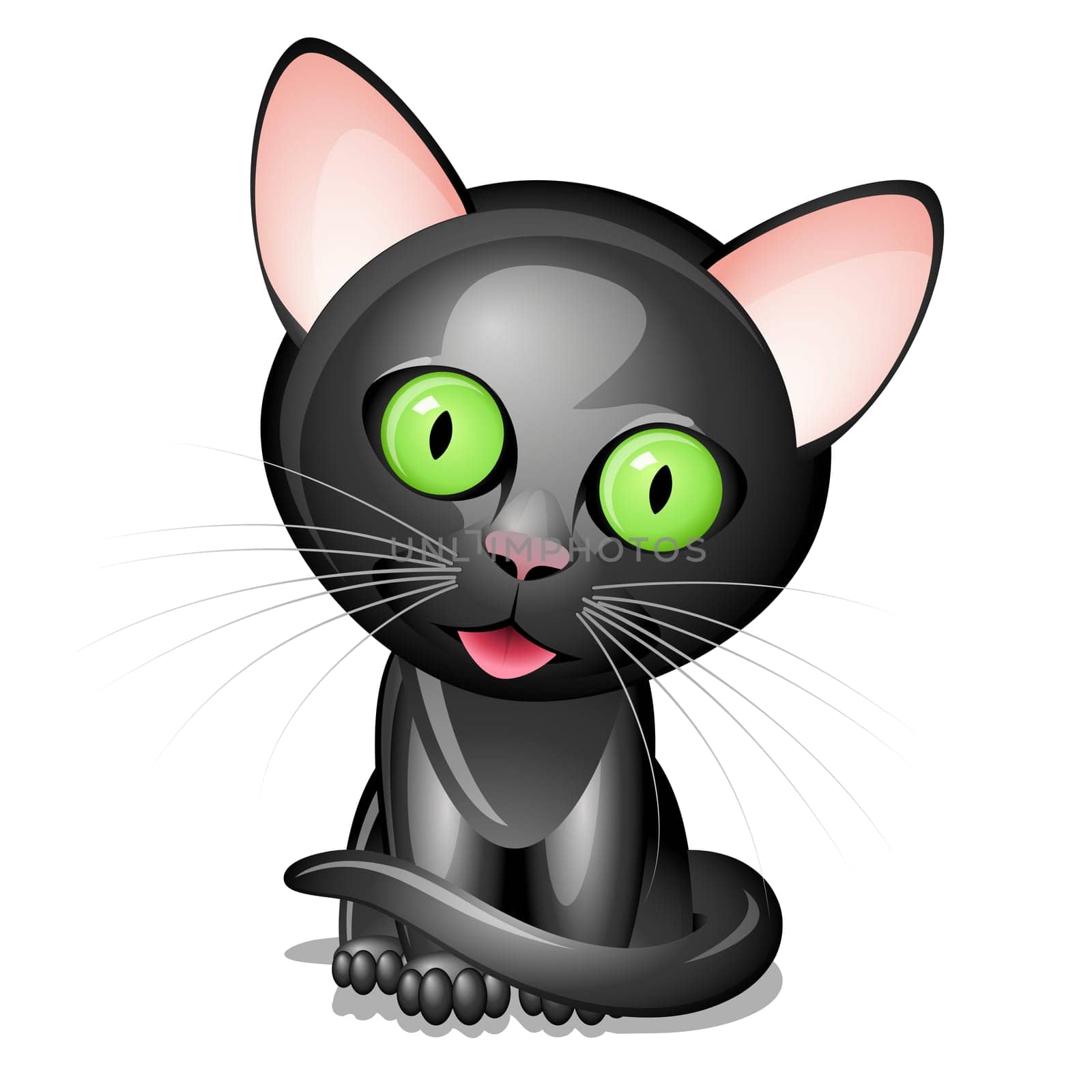 Little black cat