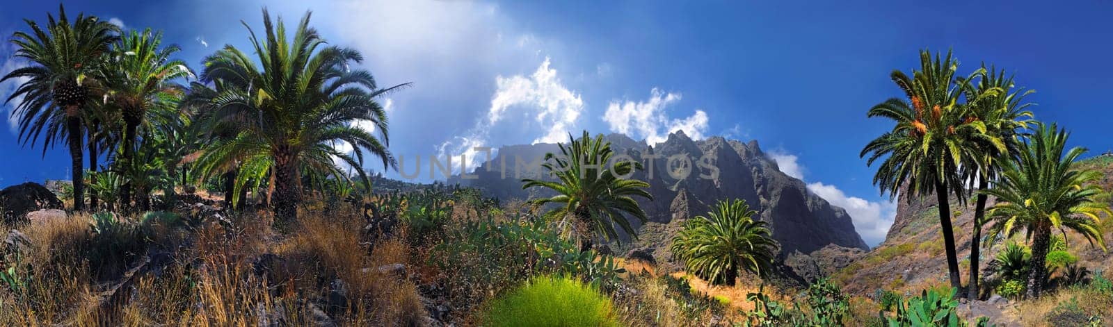 Masca Gorge Panorama
