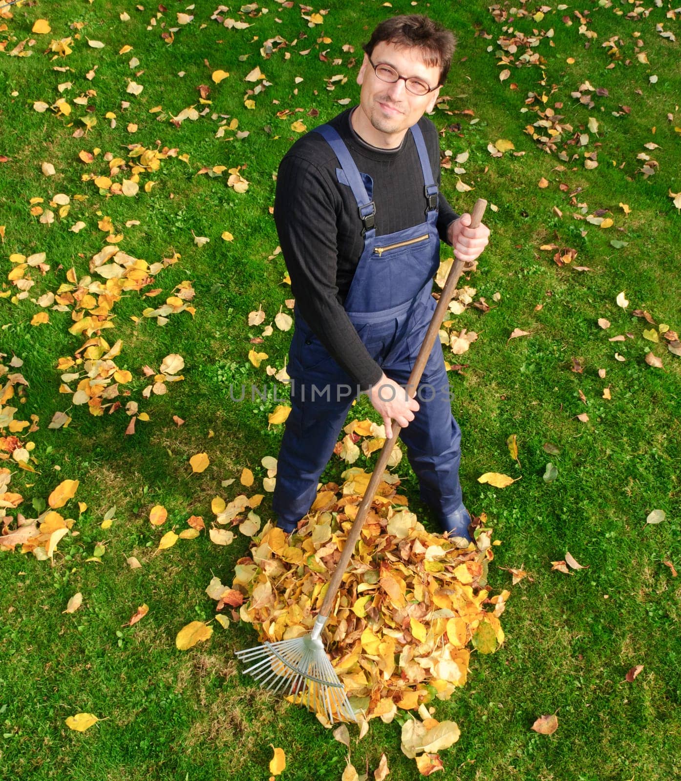 Man quite foliage in the garden in autumn