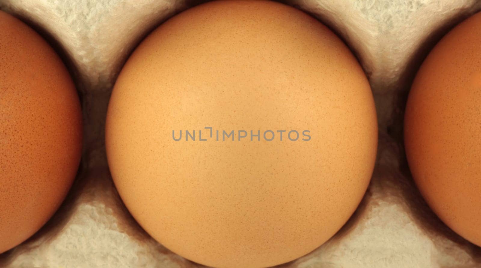 Egg on carton