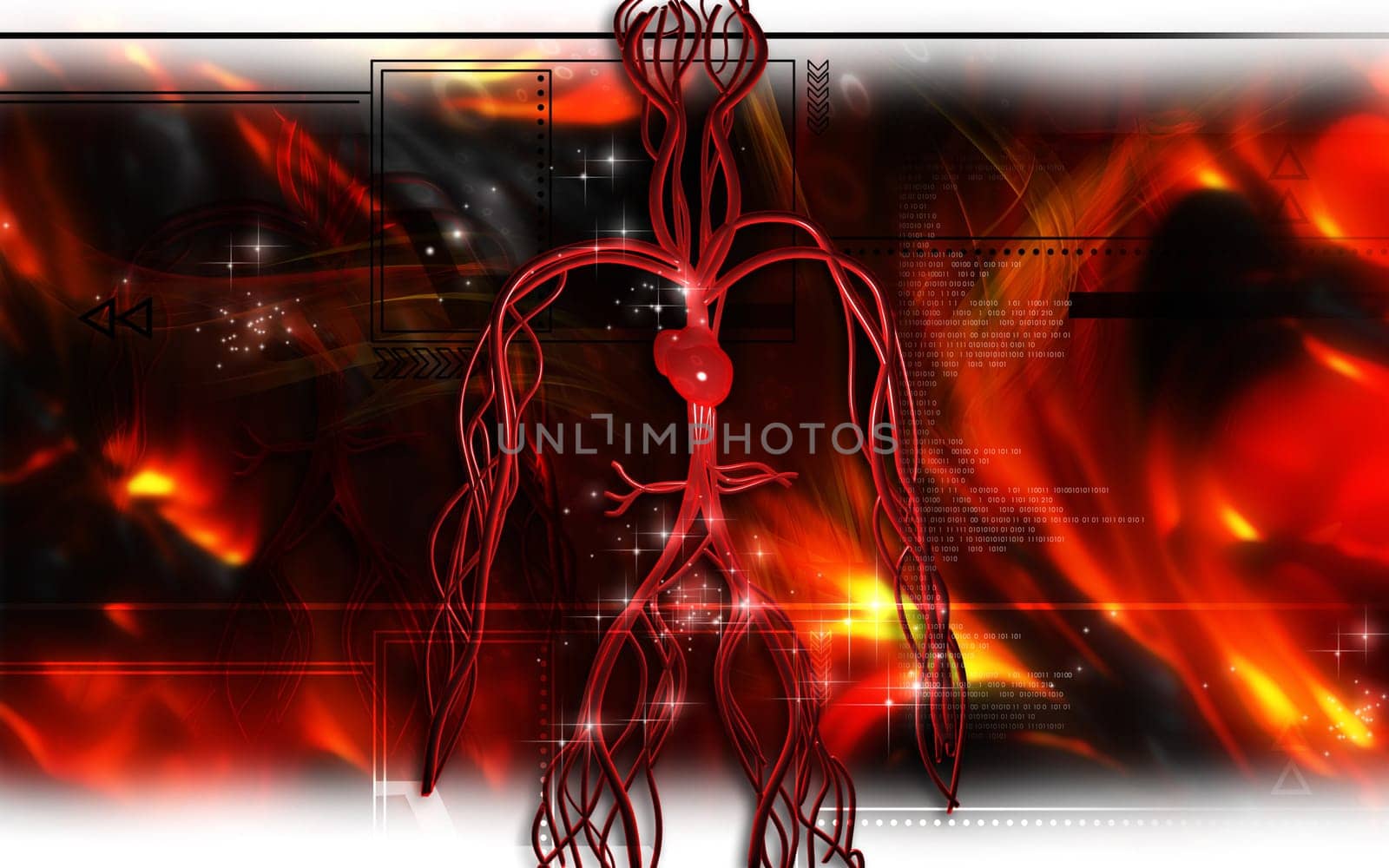 Vascular system