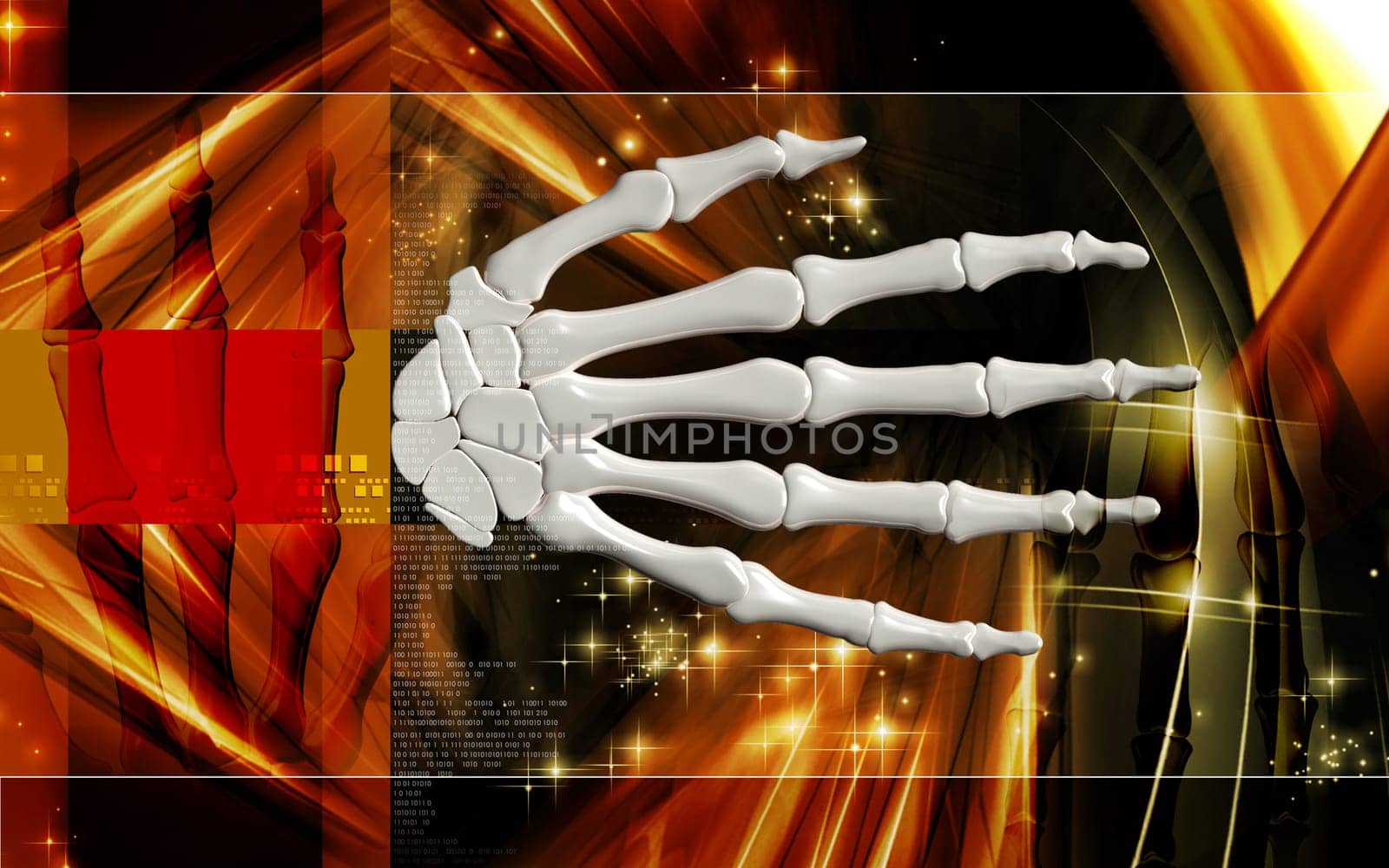 Hand bone