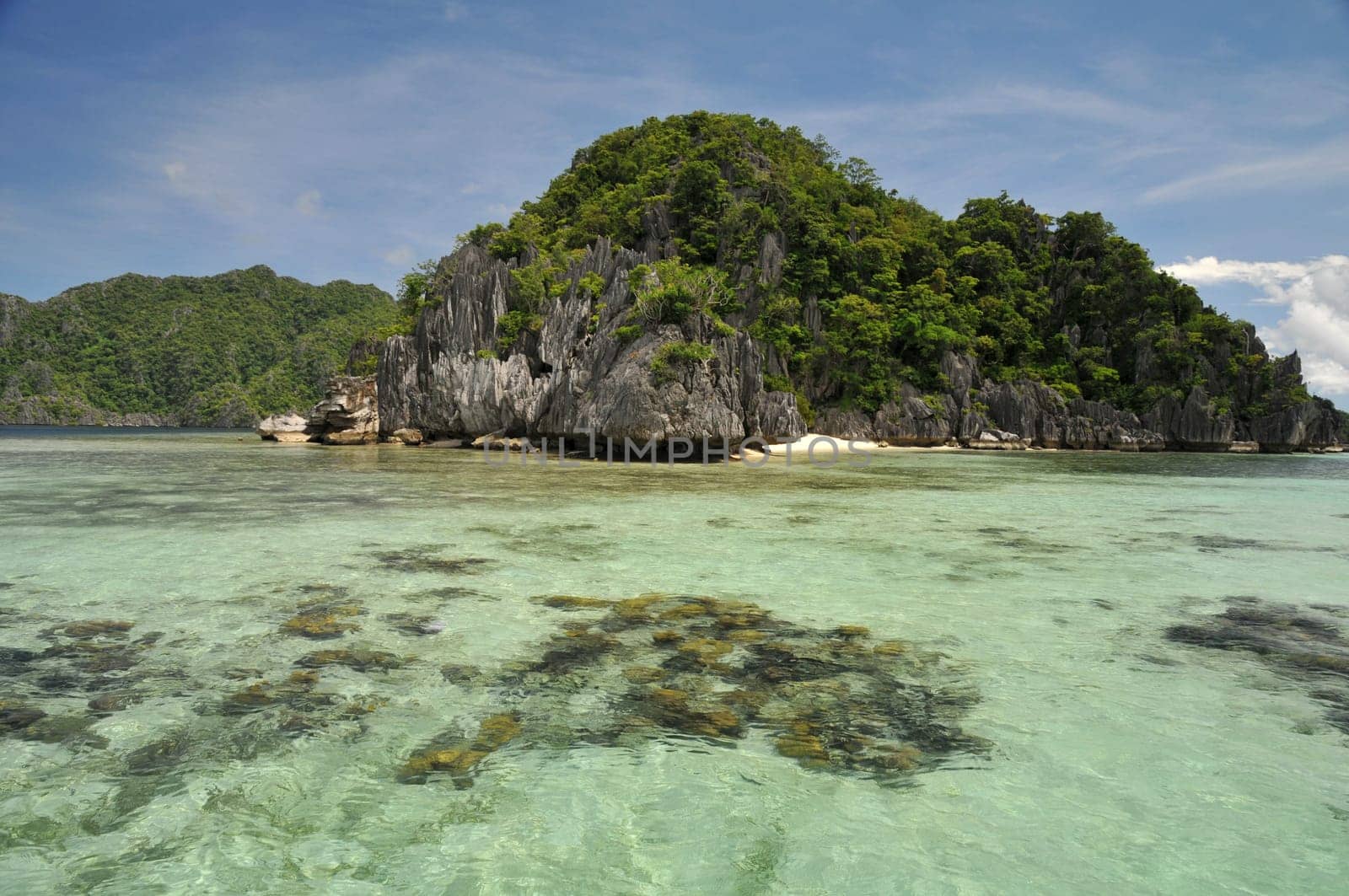 Island dream near Coron / Palawan