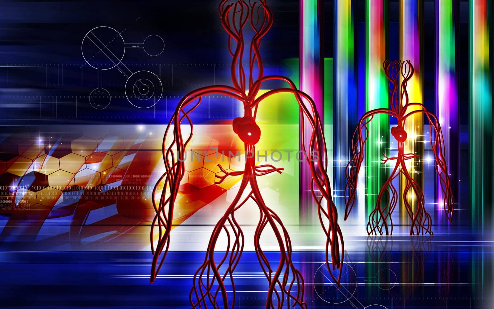 Vascular system