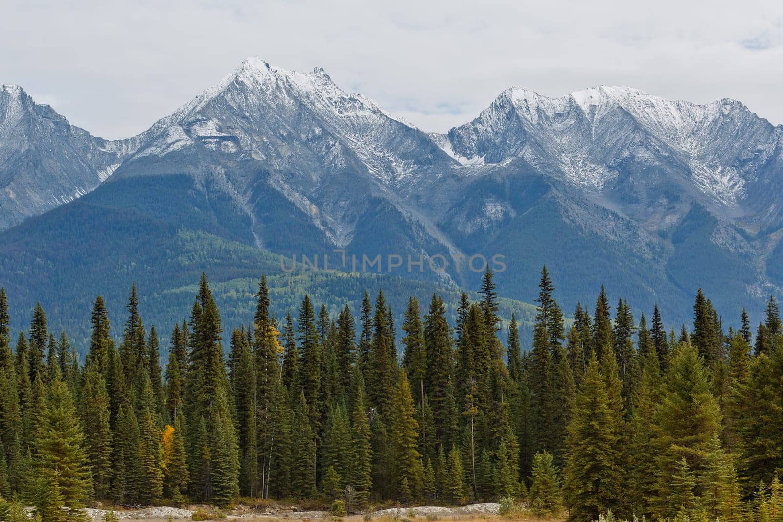 Snowcapped Canadian Rockies