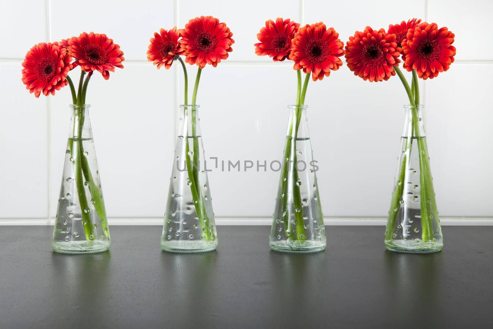 Red Flowers on a Table